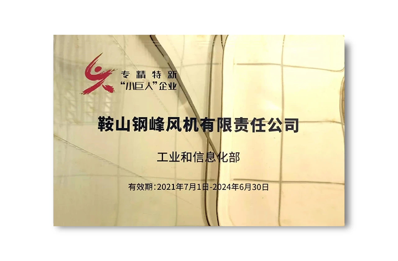 We won the honorary title of national-level "Specialized, Special and New Little Giant Enterprise".