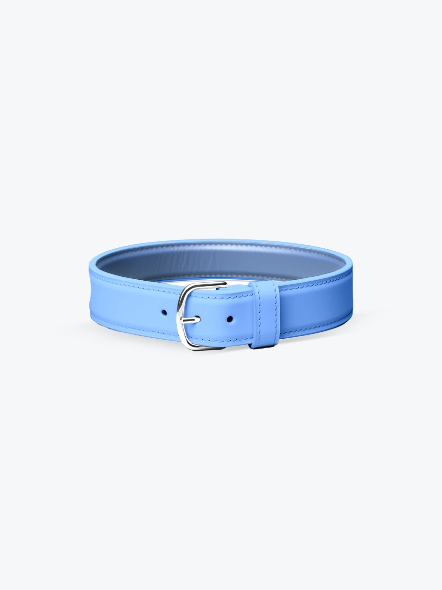 Pet Belt Collar