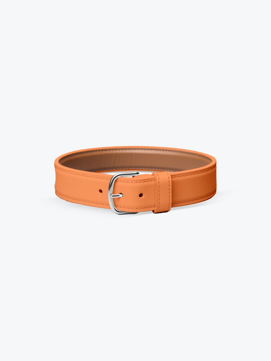 Pet Belt Collar