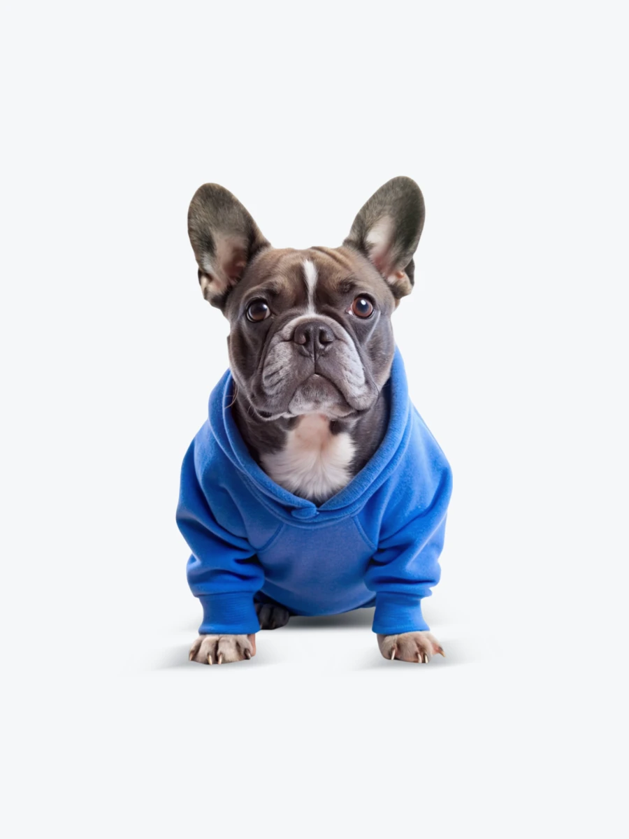 Pet clothes