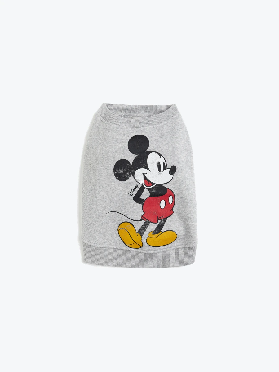 Pet clothes