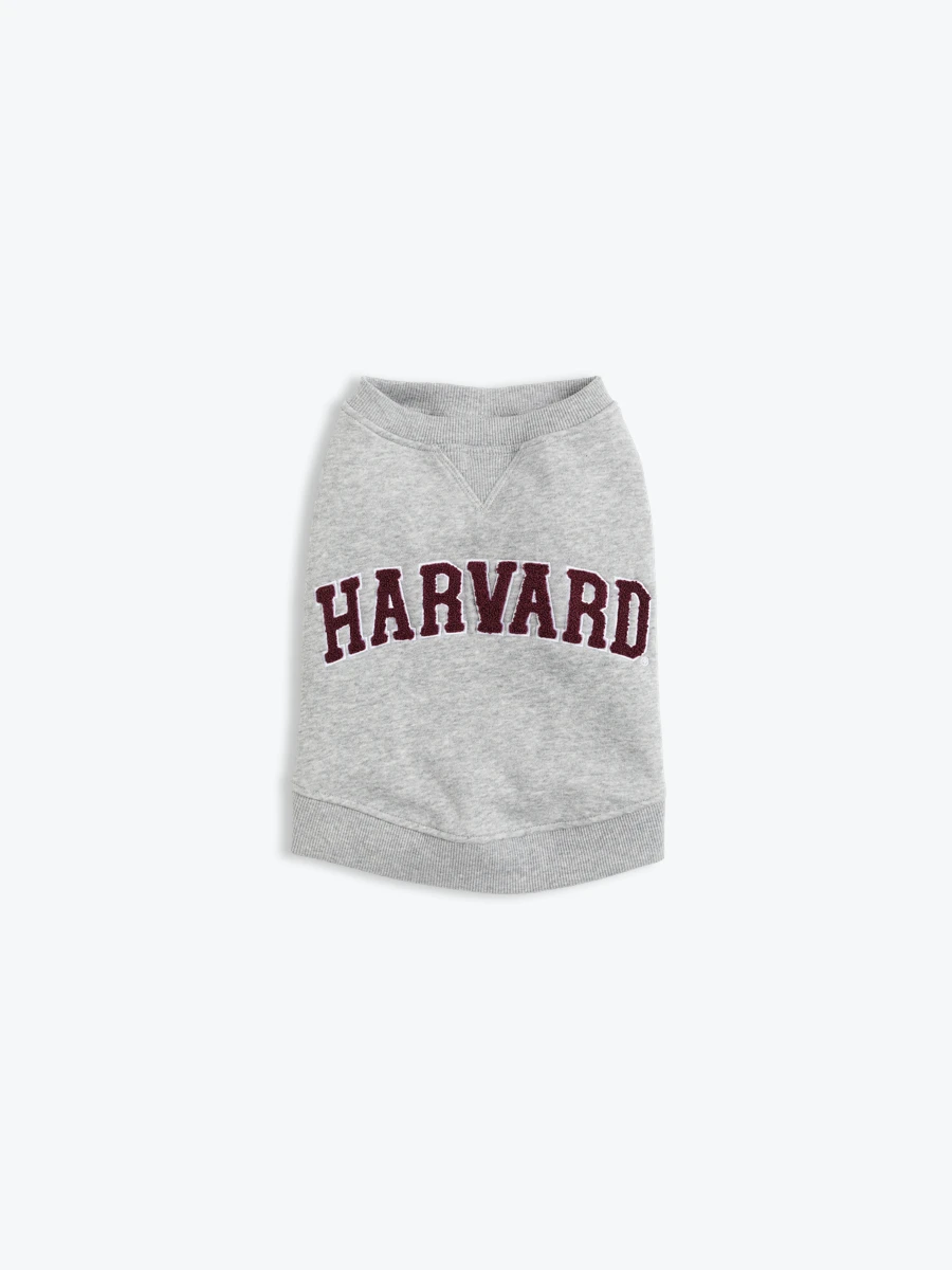 Pet clothes