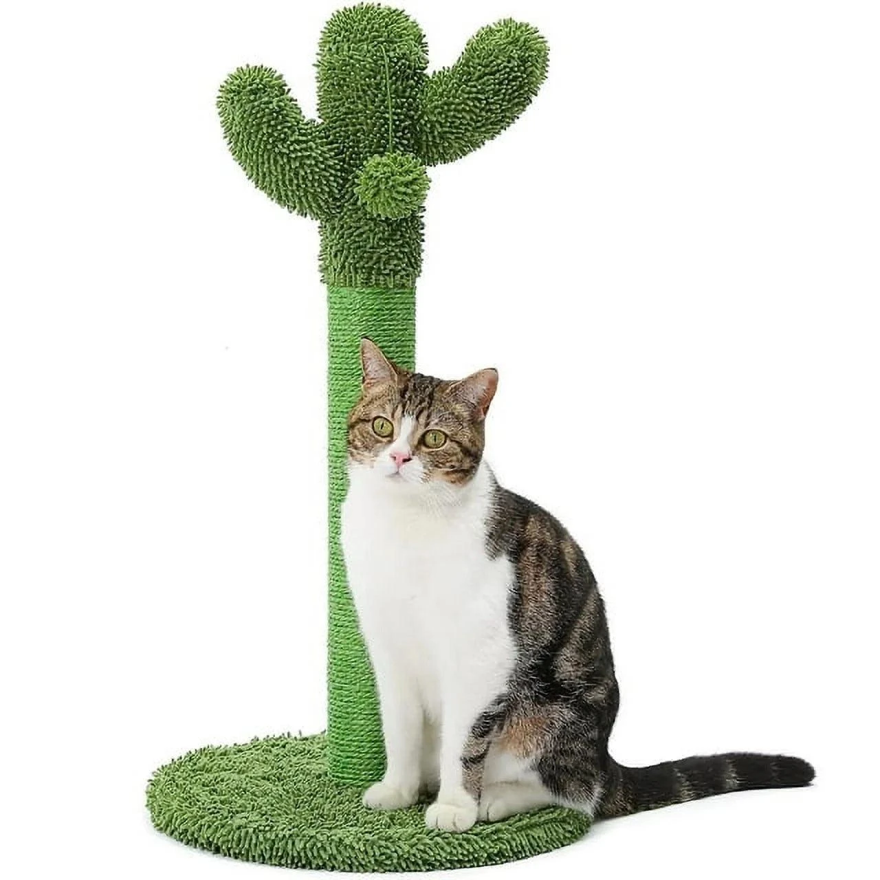 Cactus Cat Scratcher Kitten Scratching Post with Natural Sisal Rope for Indoor Cats Claw Scratcher, Vertical Green Cat Tree with Dangling Balls for Small Cats Kittens