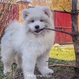 测试商品图片alt文本