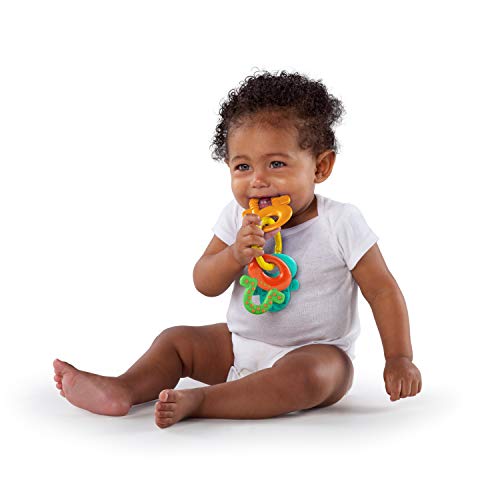 Bright Starts Oball Shaker Rattle Toy, Ages Newborn +