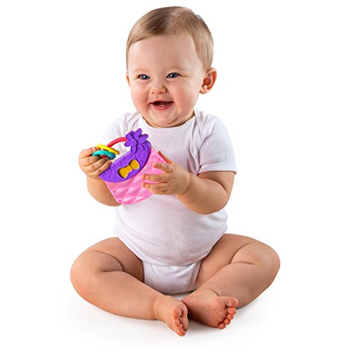 Bright Starts Oball Shaker Rattle Toy, Ages Newborn +