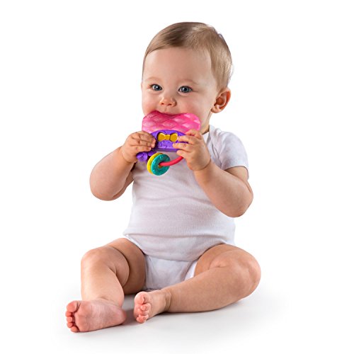 Bright Starts Oball Shaker Rattle Toy, Ages Newborn +