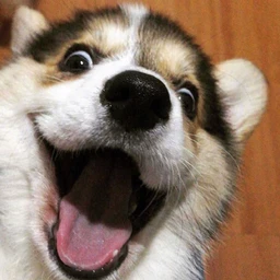 测试商品图片alt文本