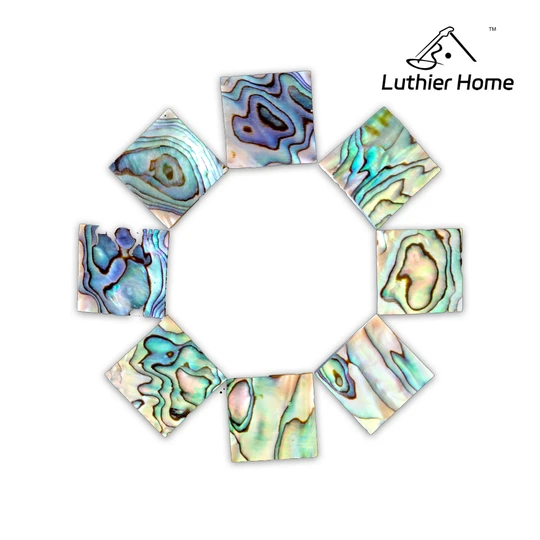 2Pcs Haliotis IrisSize PAUA Abalone Sheet 