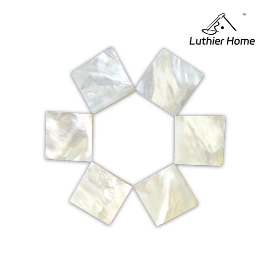 2Pcs Pinctada Maxima（MOP) sheet