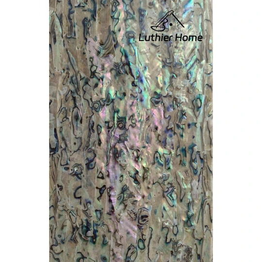 Haliotis Iris Abalone Veneer A grade 