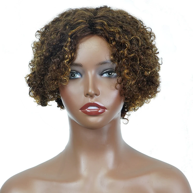 African American Human Hair Wig, Highlighted Short Curly Hair with Lace Front Cap