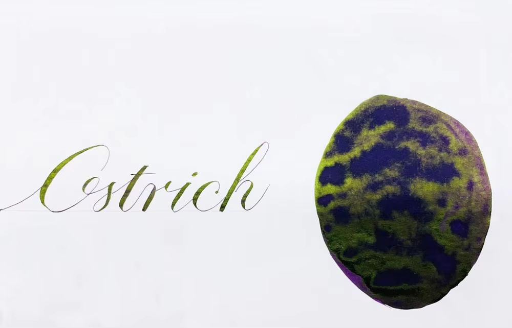 ostrich-ink