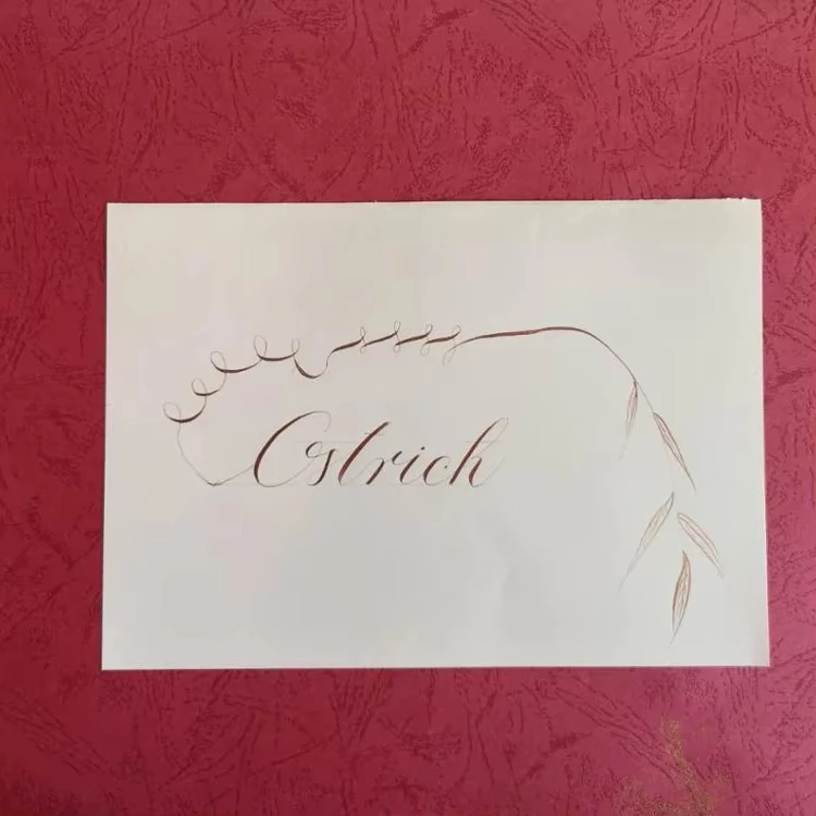 Hot Selling Metalic Color Writing Ink