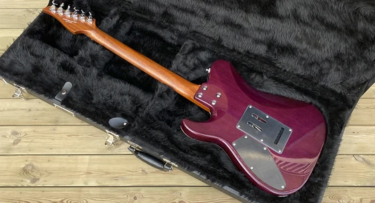 PD-TLM Purple Burst Concept Version