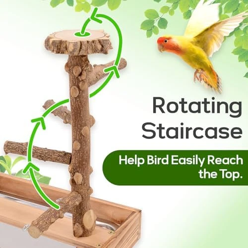 BRSLAIF Bird Playground, Bird Perch Play Stand, Bird Conure Parakeets Parrots Cockatiel Toys, for Bird Cage Accessories, Natural Wood
