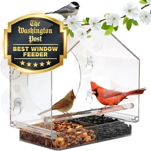 Window Bird Feeder by Nature Anywhere - Transparent Acrylic Bird Feeders for Outdoors - Enhanced Suction Grip, Bird Watching for Cats, Easy-to-Clean, Outdoor Birdhouse Feeder