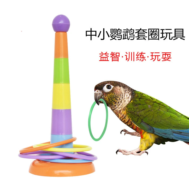 鹦鹉益智玩具 套圈圈训练互动智力八哥小太阳开发玩具 宠物鸟玩具
