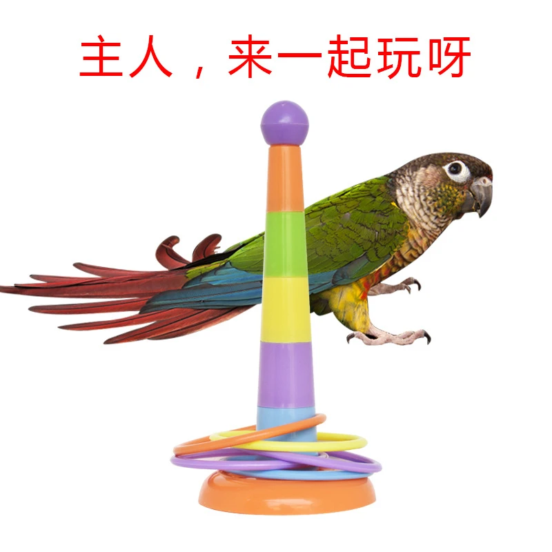 鹦鹉益智玩具 套圈圈训练互动智力八哥小太阳开发玩具 宠物鸟玩具