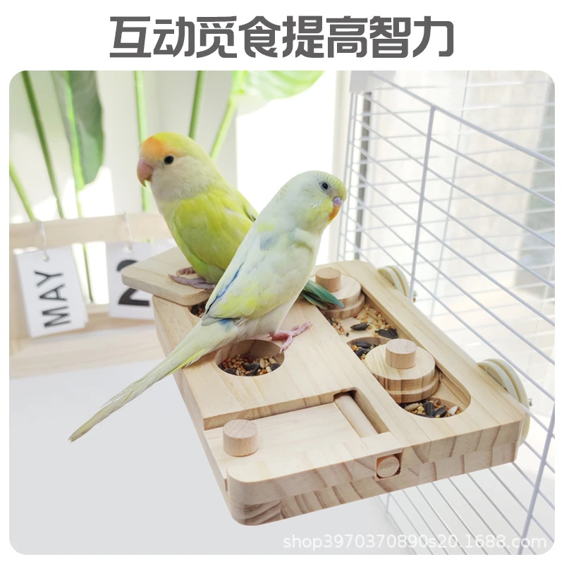 鹦鹉觅食站台跳台趣味解闷