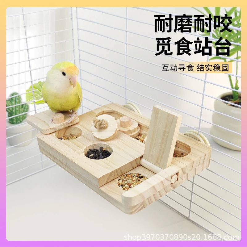 鹦鹉觅食站台跳台趣味解闷