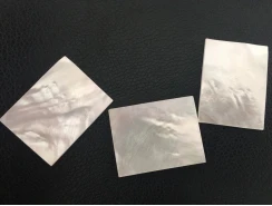 2Pcs Pinctada Maxima（MOP) sheet