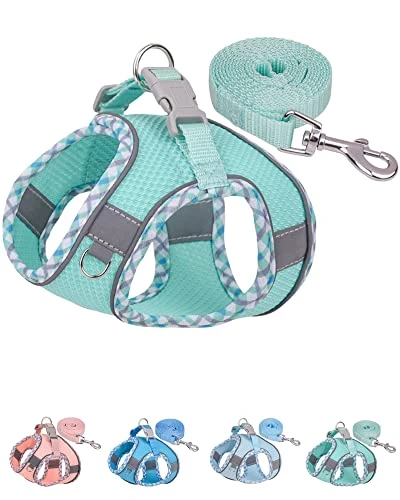 No-tension puppy harness leash