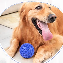 Squeaky Dog Interactive Chew Toy