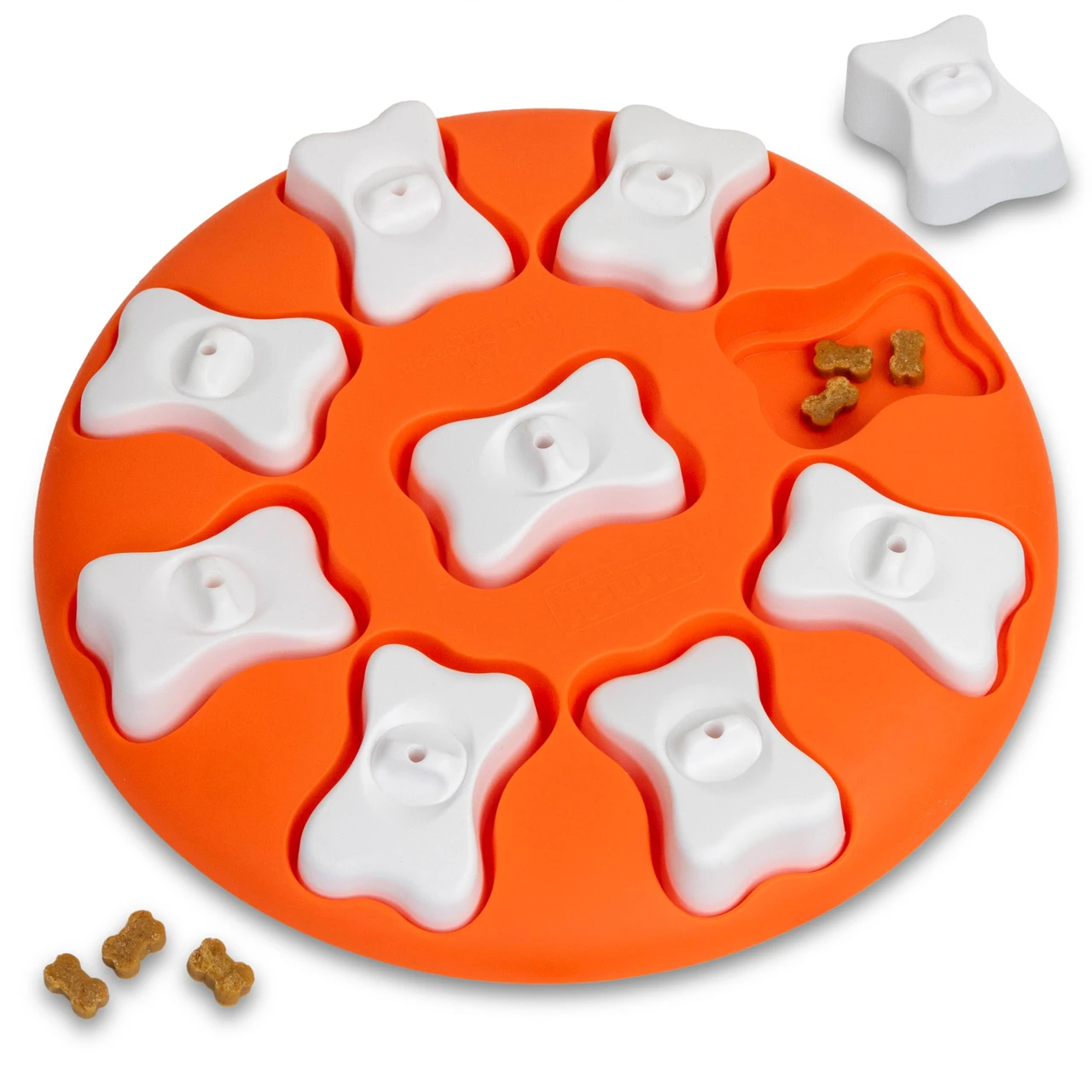 Dog educational toys