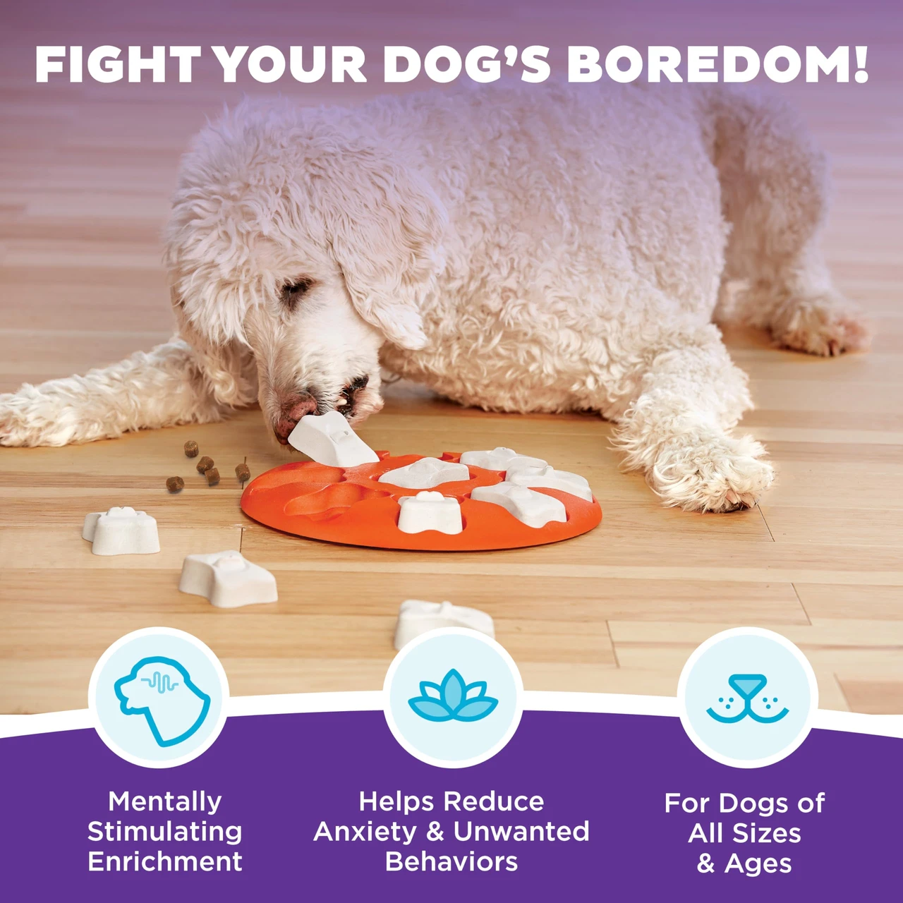 Dog educational toys