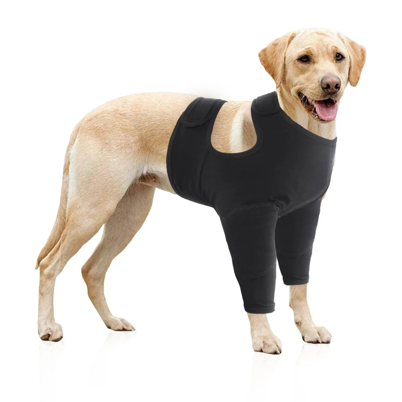 Protective Dog Elbow Guards