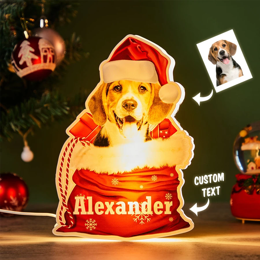 Personalized Pet Night Light