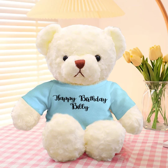 Personalized Teddy Bear Plush Toys Custom Bear Stuffed Animal Gifts for Birthday
