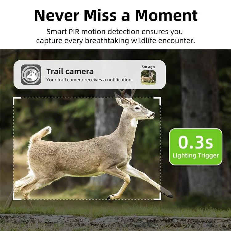 F8 Solar 4G Trail Camera Waterproof PIR Night Vision HD Outdoor Hunting Camera-Cellmalls