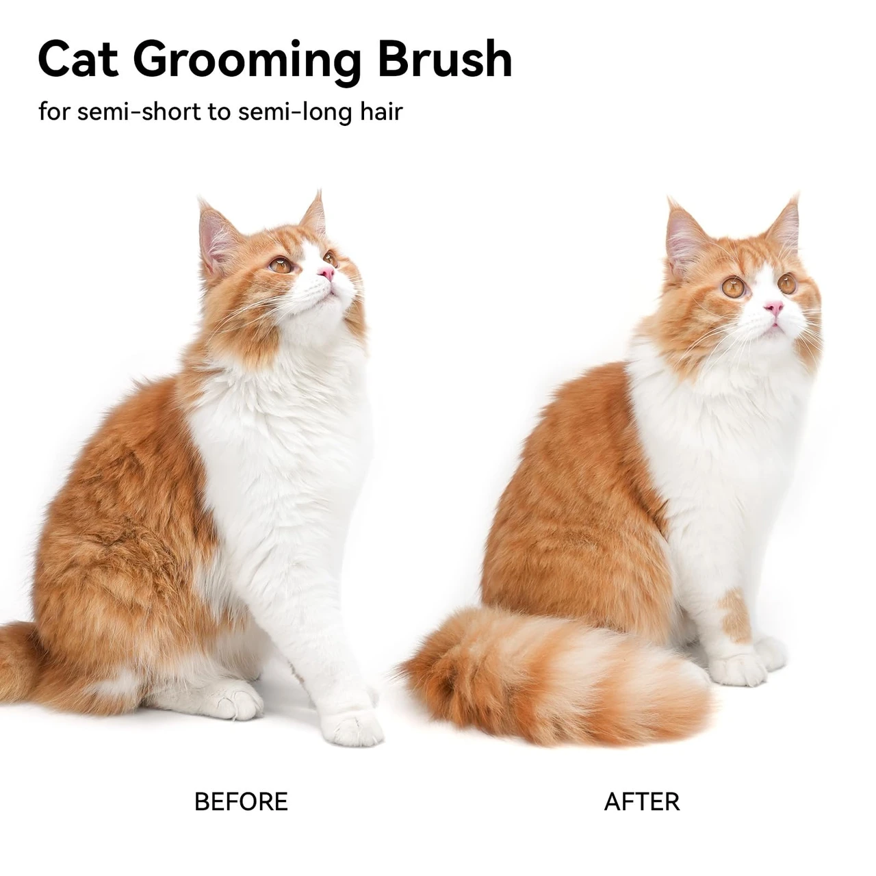 Todoxi Cat Brush for Shedding, Cat Brushes for Indoor Cats, Cat Brush for Long or Short Haired Cats, Cat Hair Brush Cat Grooming Deshedding Brush for Dog Kitten Horse Massage Removes Loose Fur, White