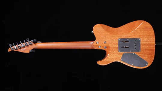 TLM-FSR