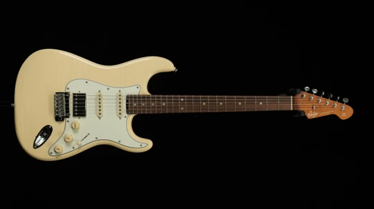 STE-V CUSTOM FSR【Stock Products】 SN：25403