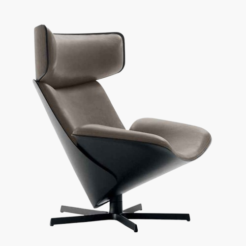 Leisure chair  Almora chair