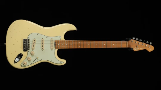 STE-V CUSTOM（2020） 【Stock Products】 SN：2020222