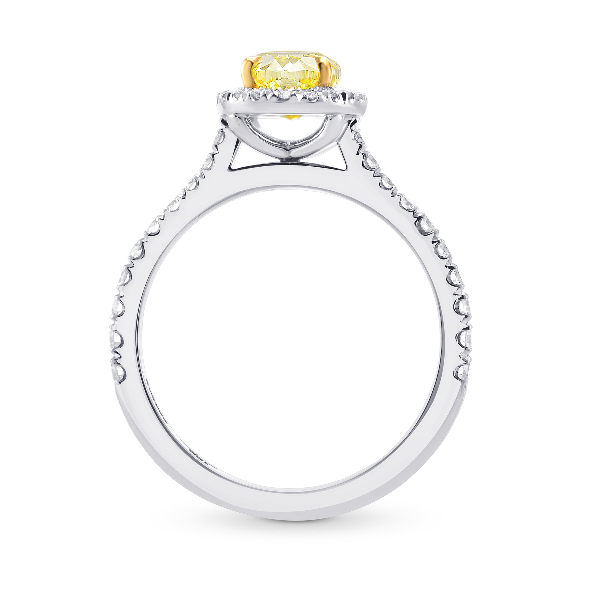 CVD/HPHT Lab Diamond Price Calculator Jewelry 