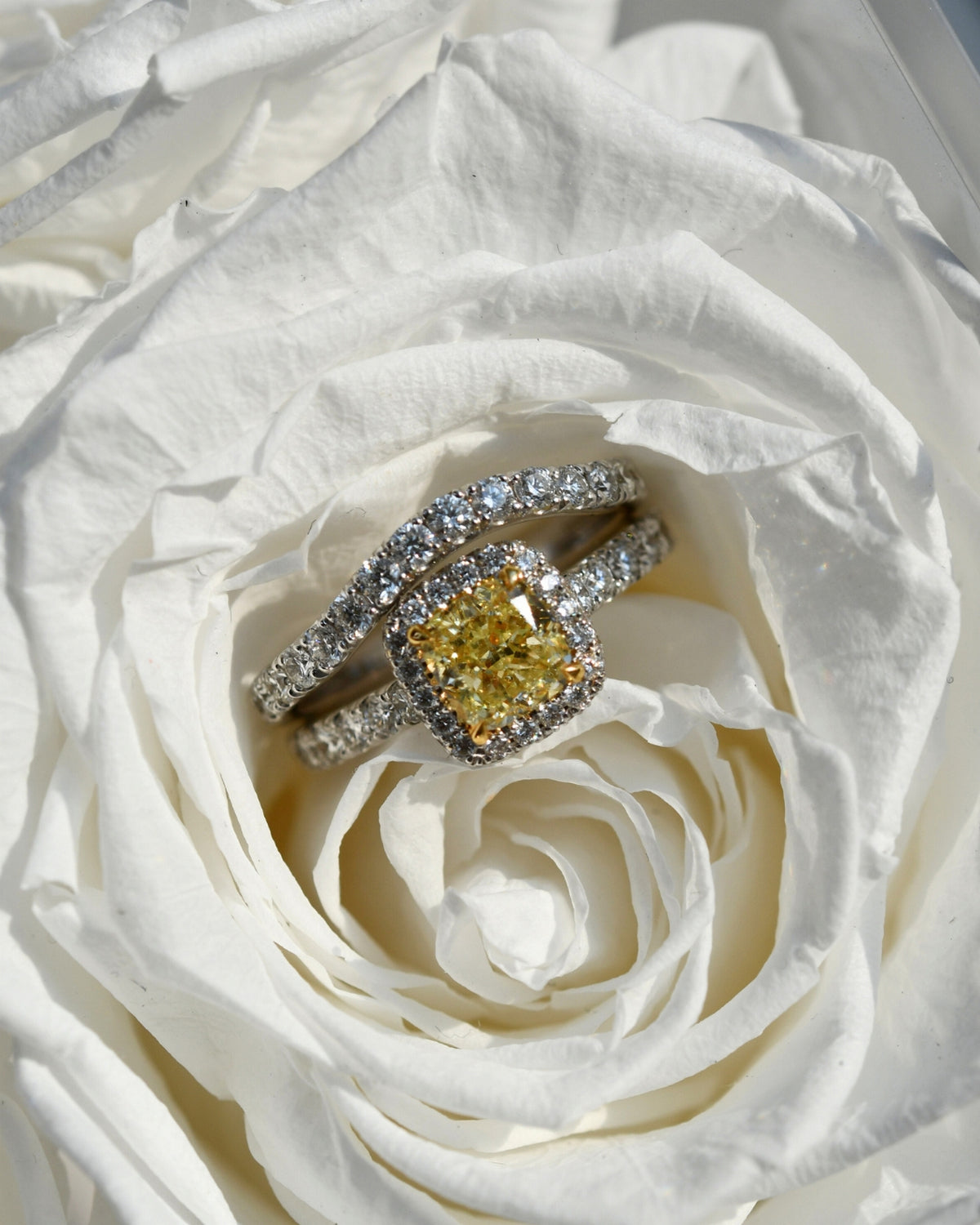 CVD/HPHT Lab Diamond Price Calculator Jewelry 