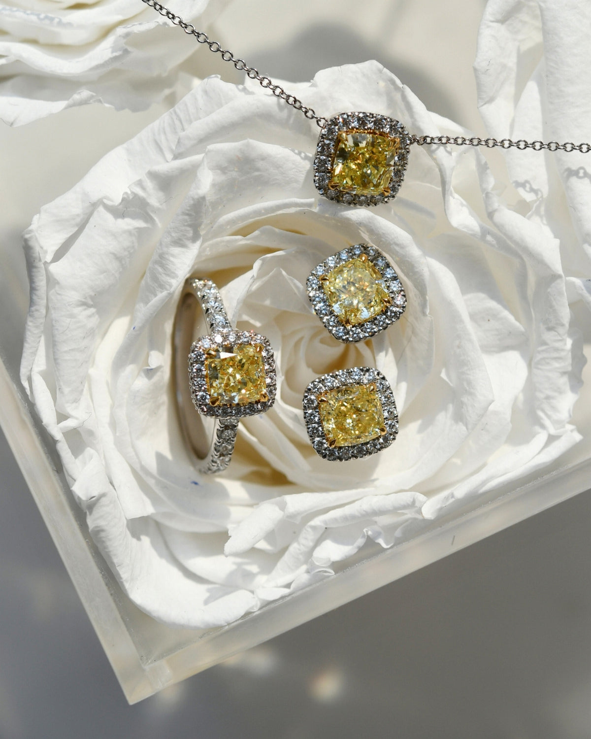 CVD/HPHT Lab Diamond Price Calculator Jewelry 