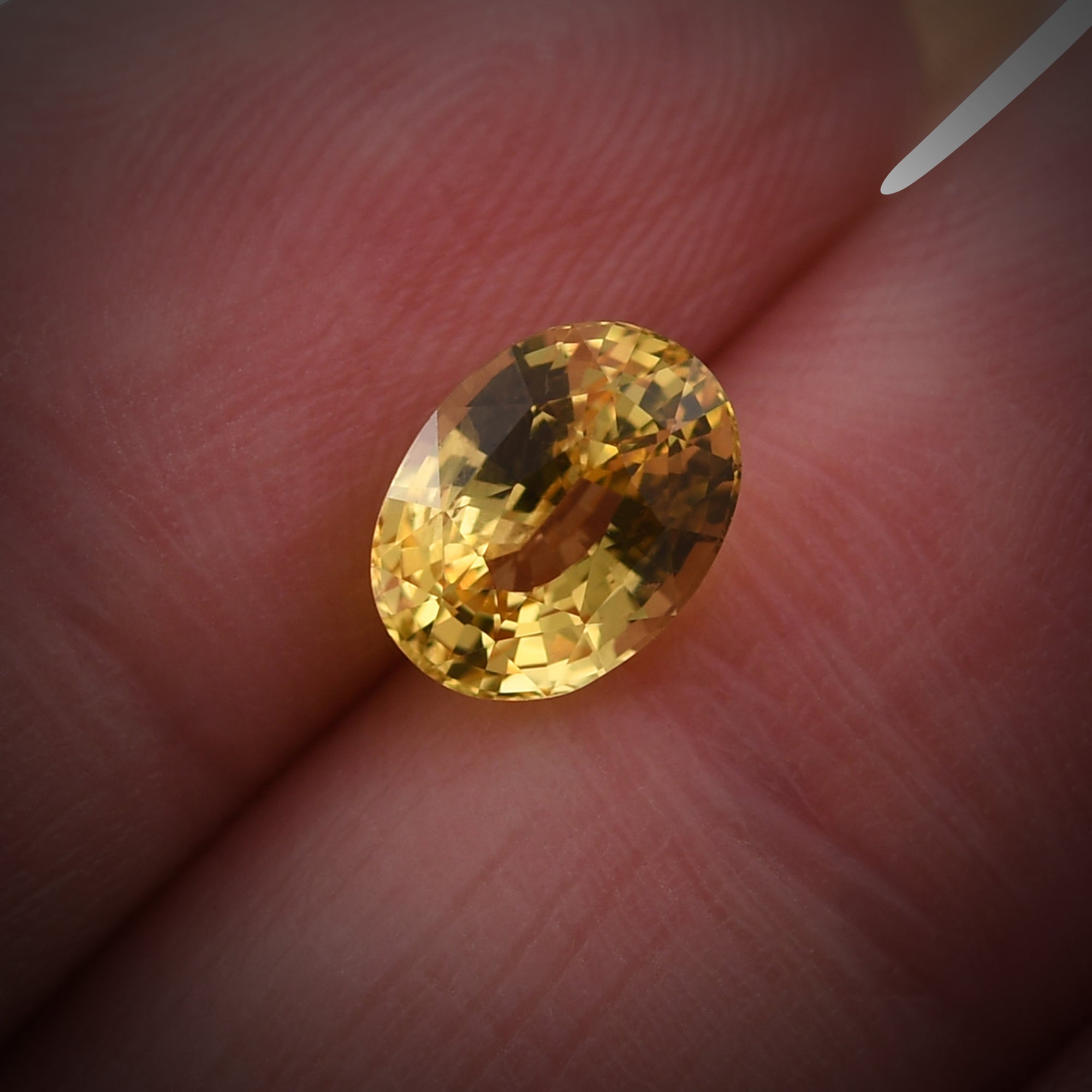 CVD/HPHT Lab Diamond Price Calculator Jewelry 