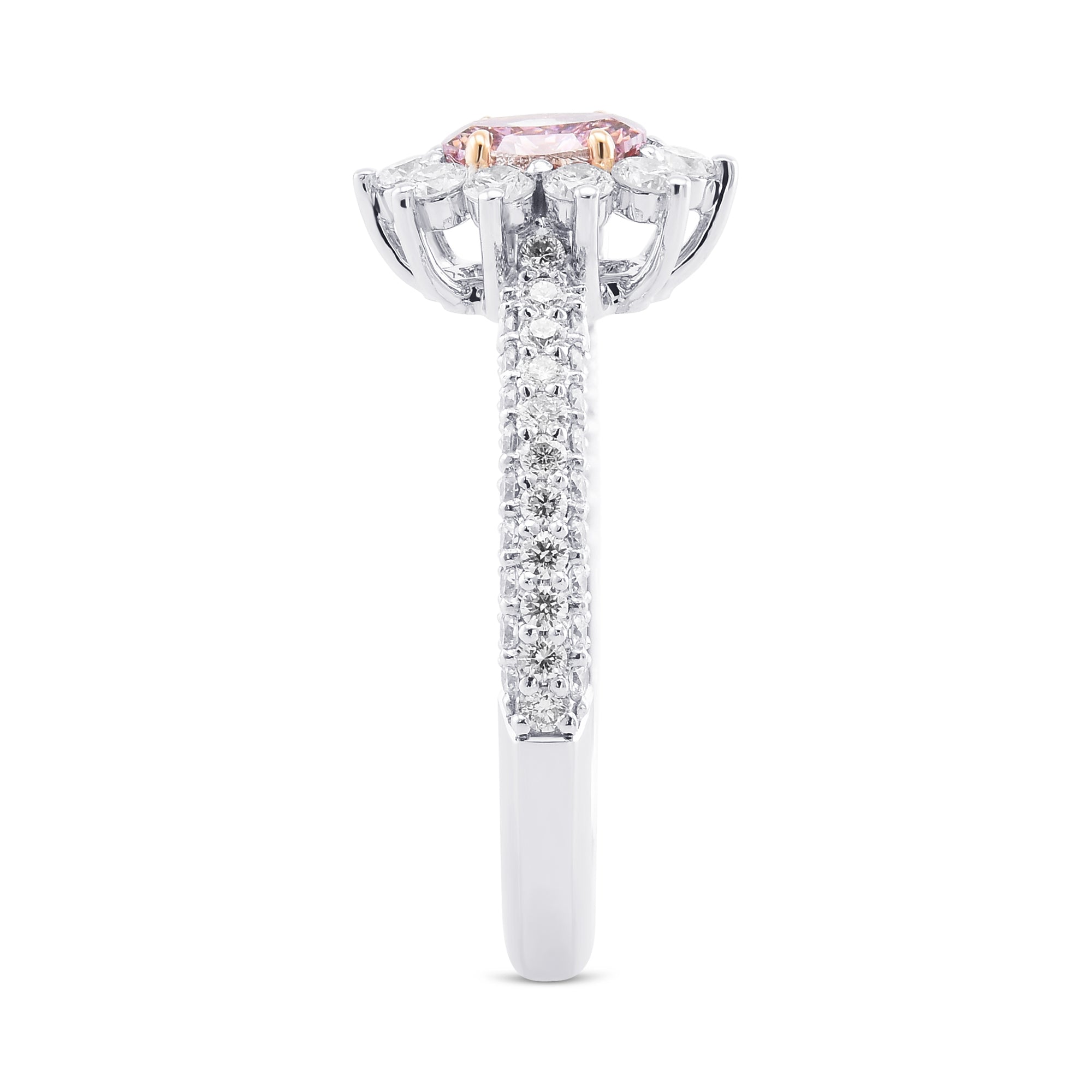 CVD/HPHT Lab Diamond Price Calculator Jewelry 