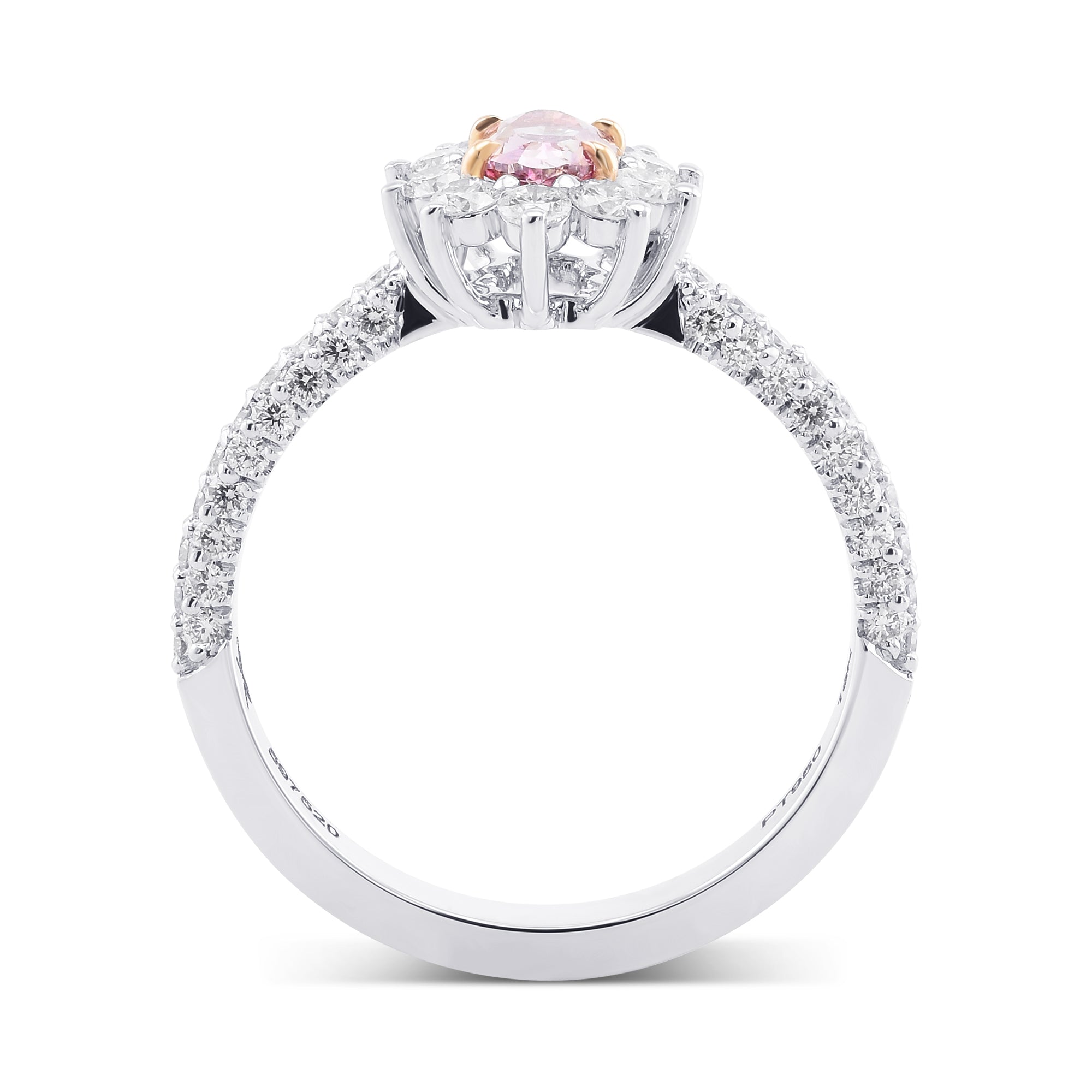 CVD/HPHT Lab Diamond Price Calculator Jewelry 