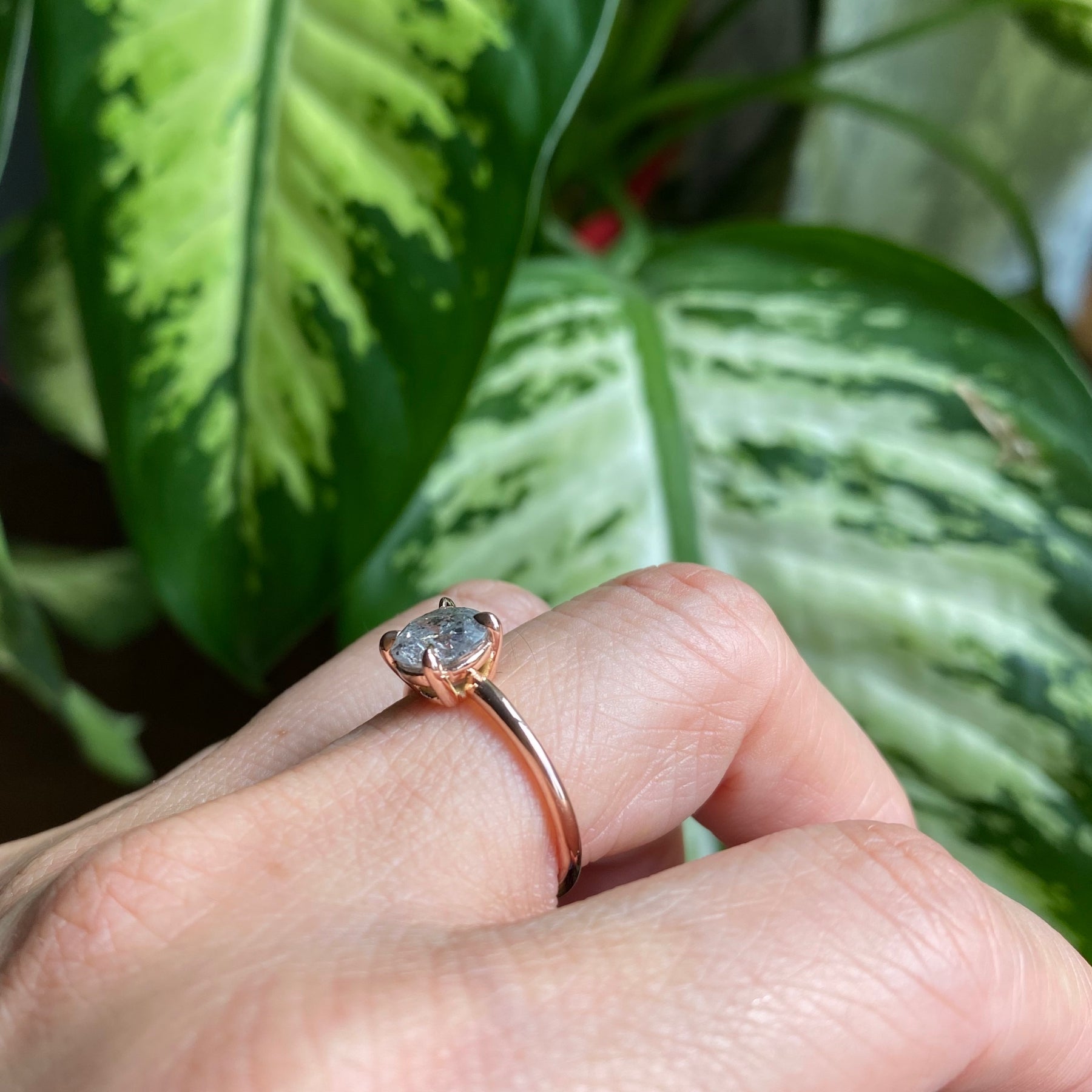 APP Cost Calculator: Software Dev, App Dev, IT 