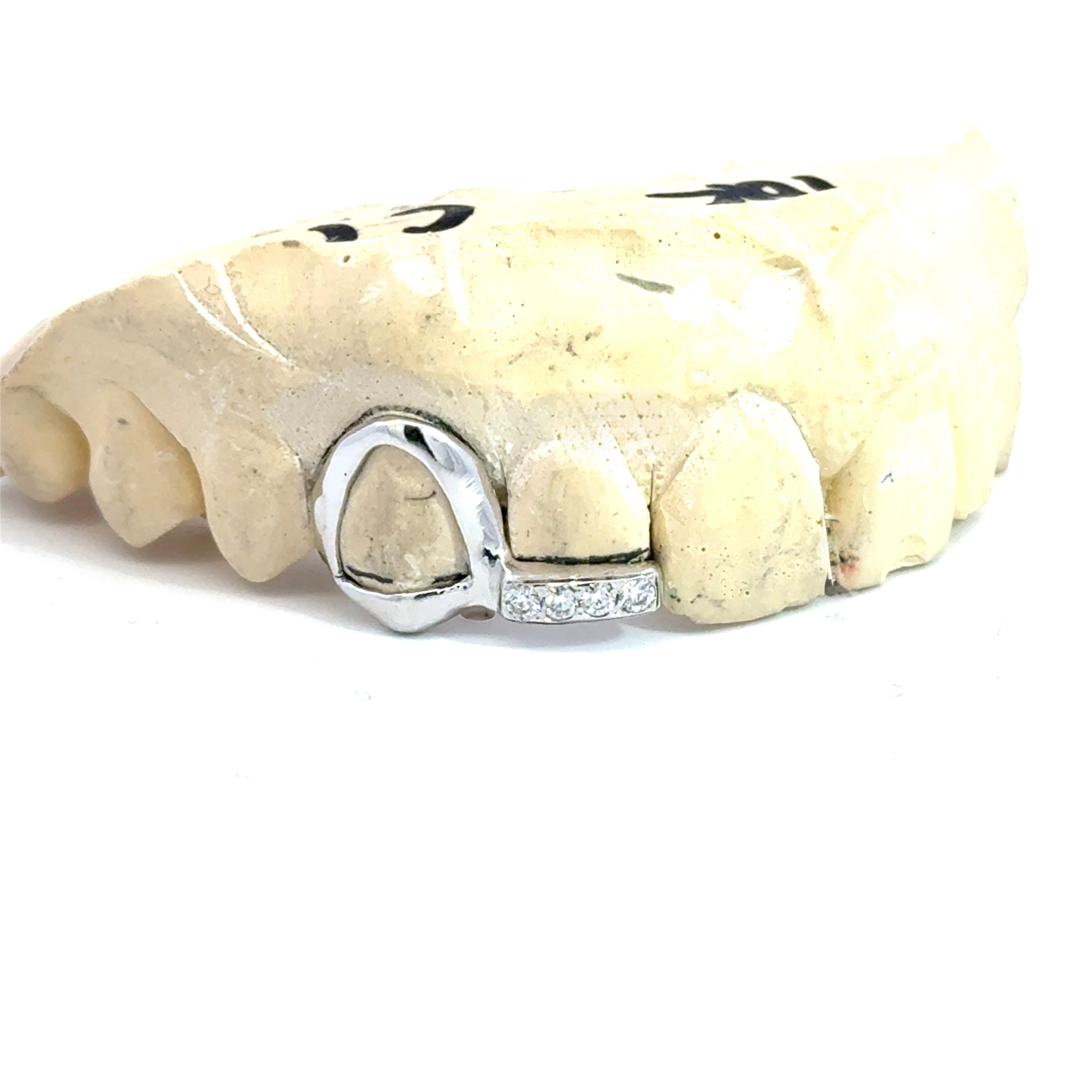 ClariOLED Transparent OLED Display price