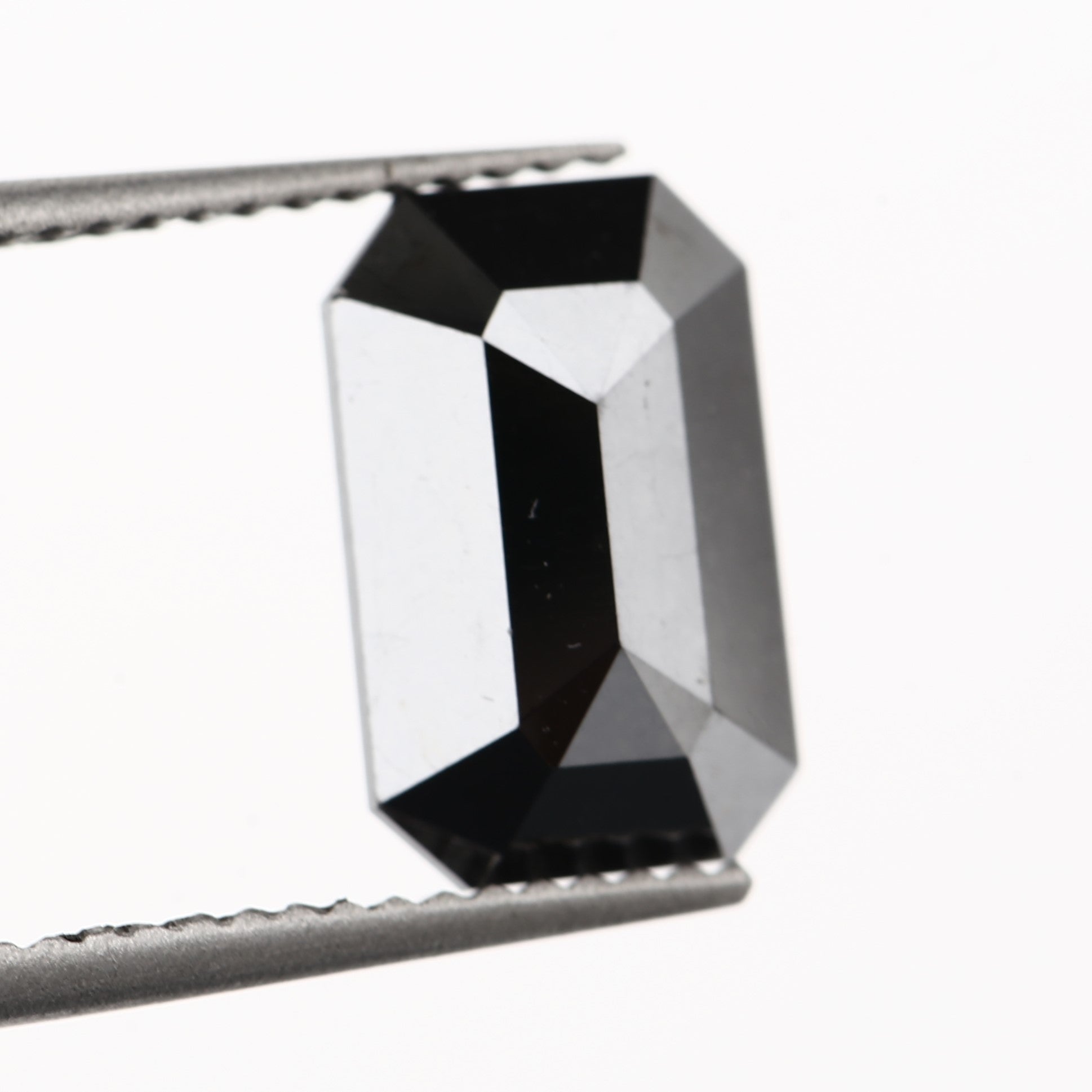 ClariOLED Transparent OLED Display price