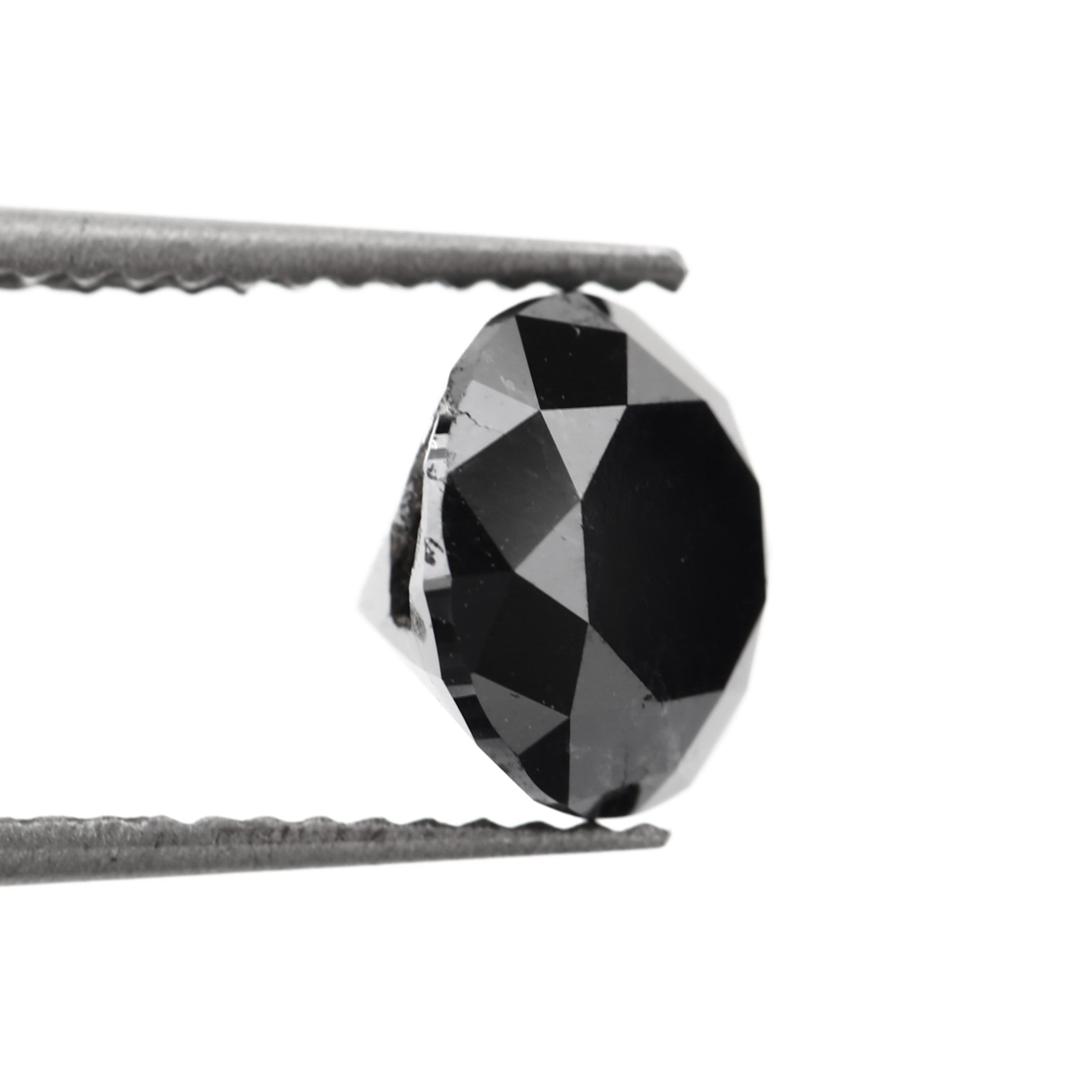 ClariOLED Transparent OLED Display price