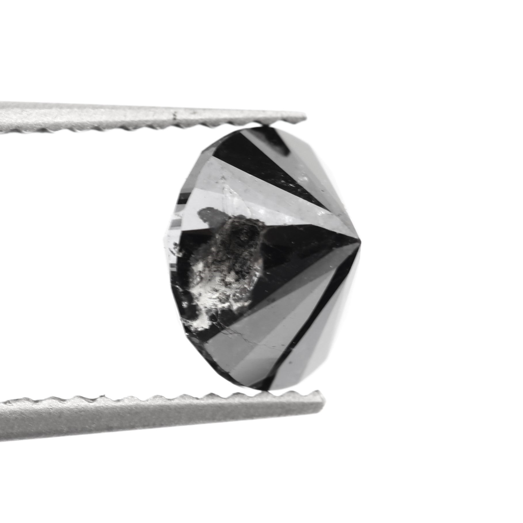 ClariOLED Transparent OLED Display price